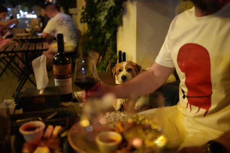 Cadru din seara de la masă · Sony a7C II · 35mm · ƒ2 · 1/160s · ISO 8000
