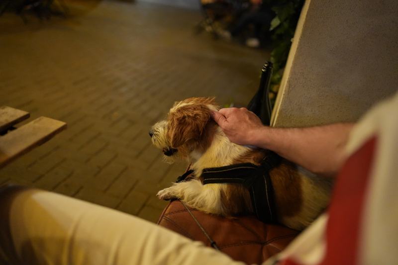Cadru din seara de la masă · Sony a7C II · 35mm · ƒ2 · 1/160s · ISO 8000