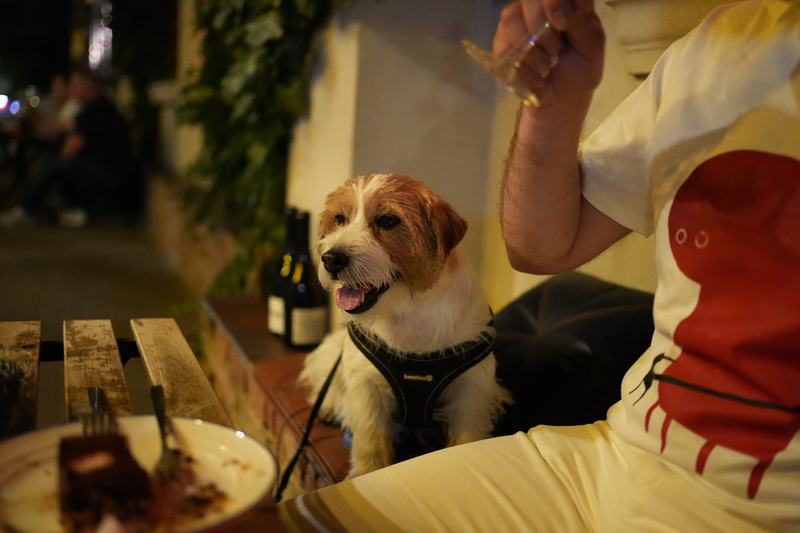 Cadru din seara de la masă · Sony a7C II · 35mm · ƒ2 · 1/160s · ISO 8000