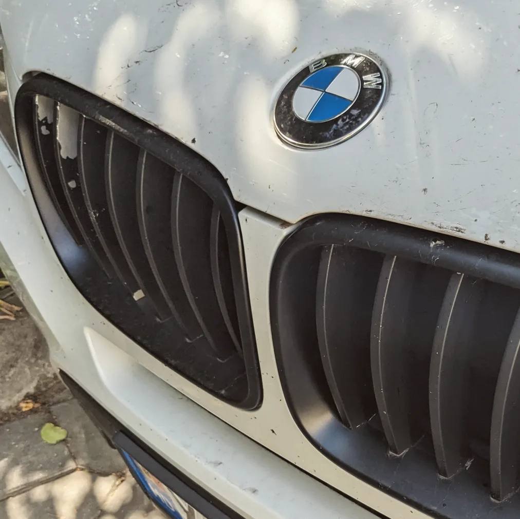 The glossy black grilles