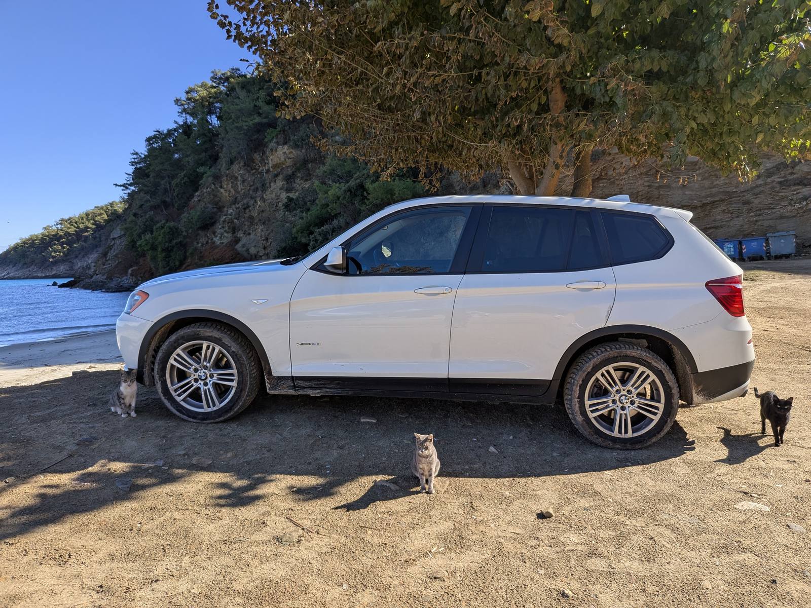 X3 on the beach, a cat in front