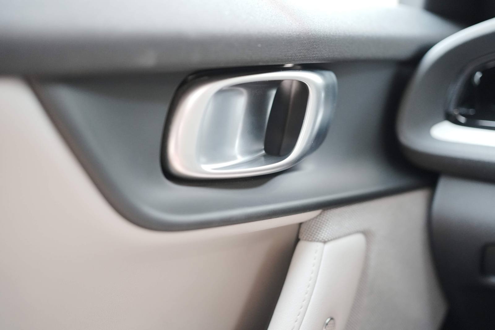 The inside door handle, up close