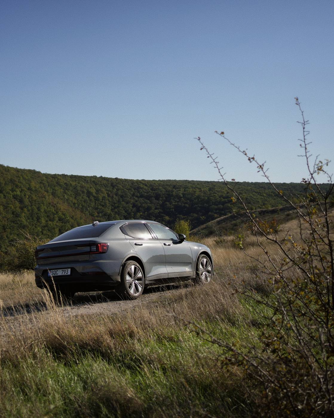 The car from the front, among dry branches, with the hills behind