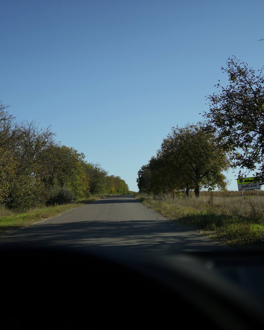 The tree-lined tarmac road, seen through the windscreen