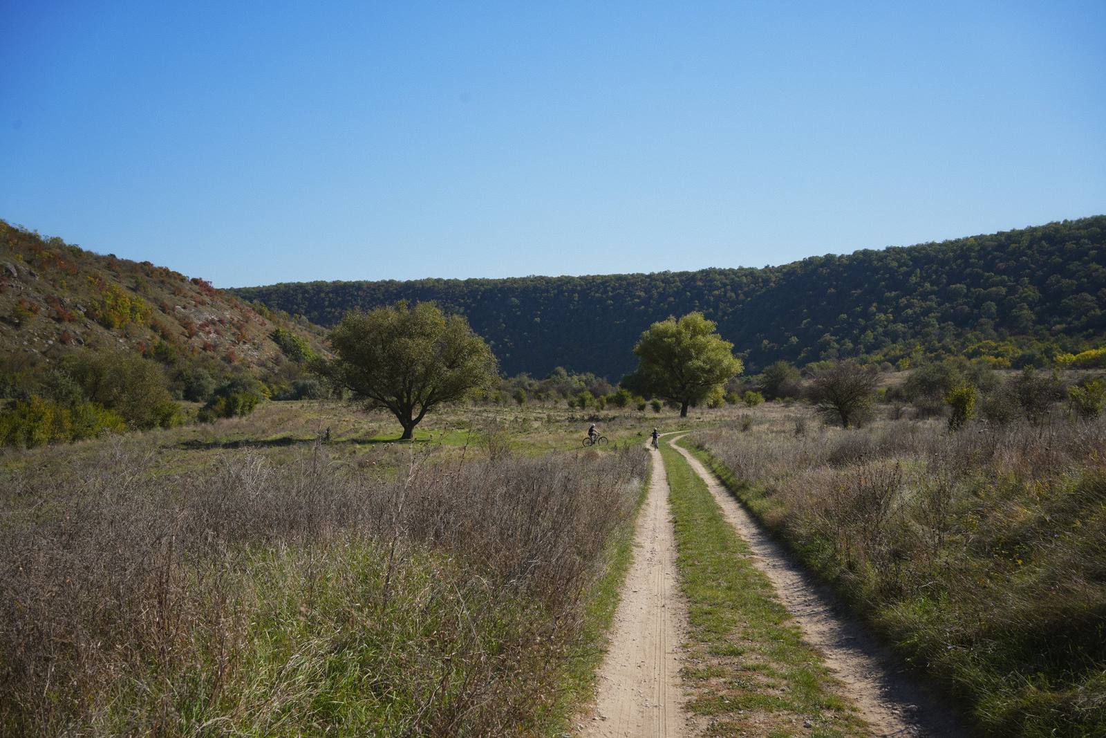 A two-track dirt road through dry grass, towards two trees and a wooded hill; in the distance, two cyclists